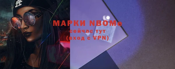 хмурый Алзамай
