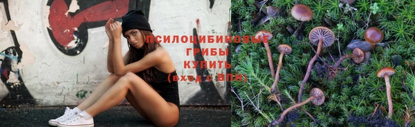 хмурый Алзамай