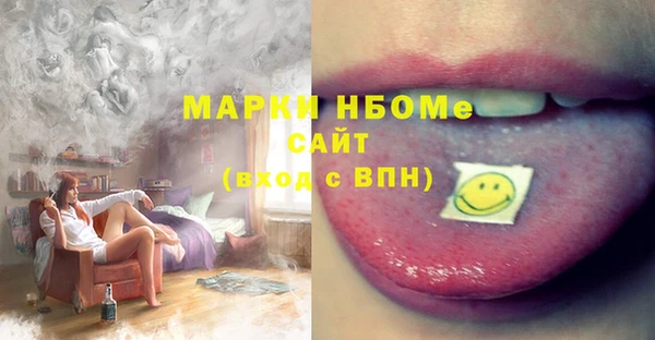 хмурый Алзамай