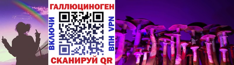 закладки Плавск Псилоцибиновые грибы Cubensis
